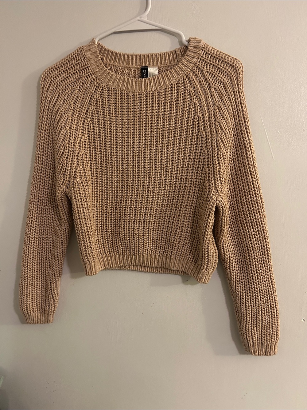 H&M Cropped Crewneck Sweater in Beige